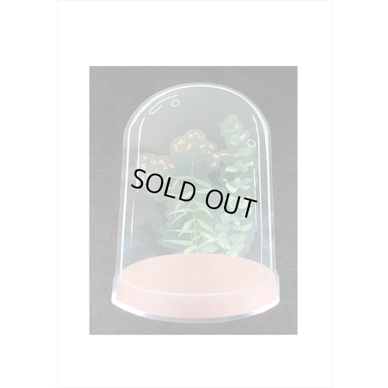 画像6: 葉っぱ・ユーカリとボトル＊PETシール＊21枚＊海外製