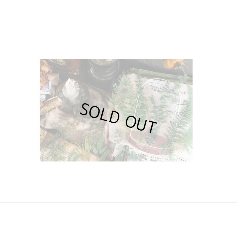 画像10: 葉っぱ・ユーカリとボトル＊PETシール＊21枚＊海外製