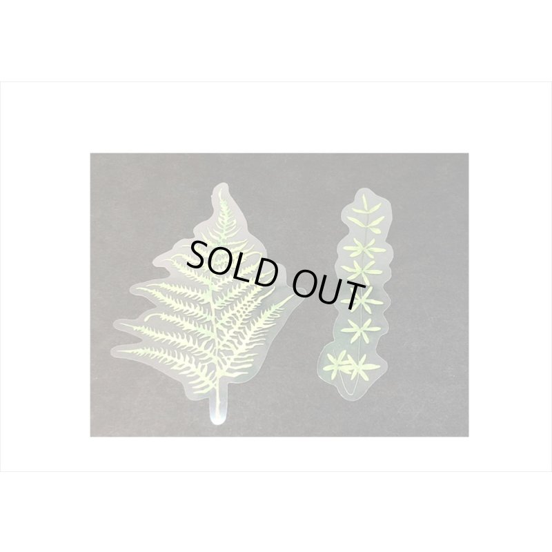 画像13: 葉っぱ・ユーカリとボトル＊PETシール＊21枚＊海外製