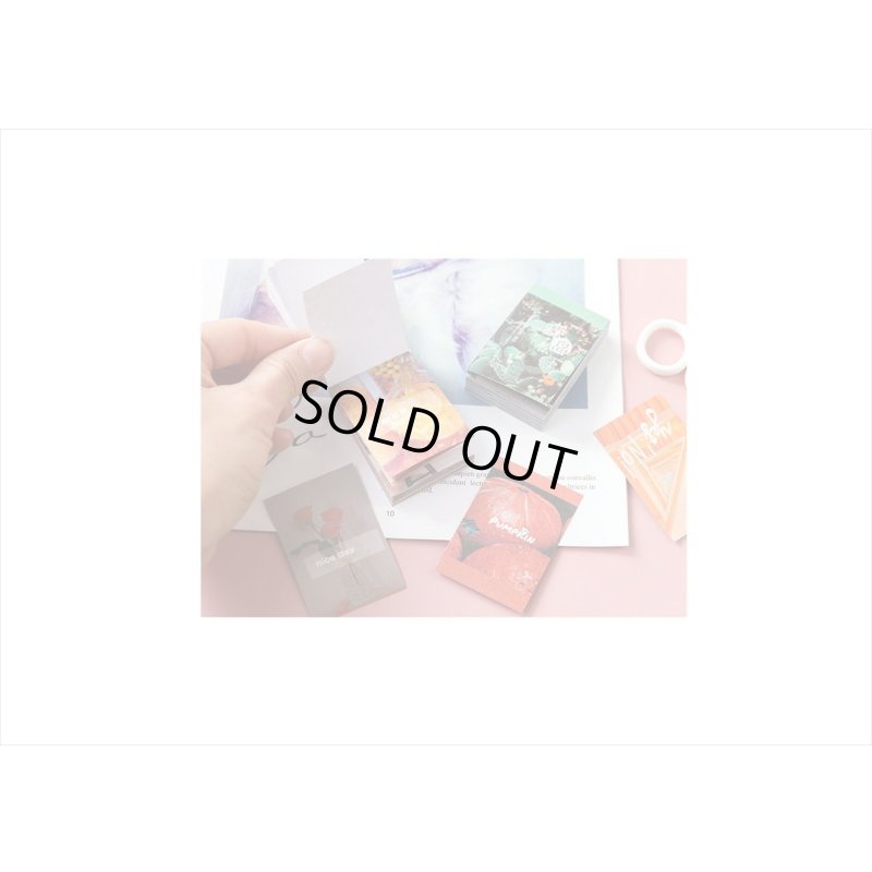 画像8: ちび＊和紙シールブック＊グリーンアイランド＊50枚＊ 海外製