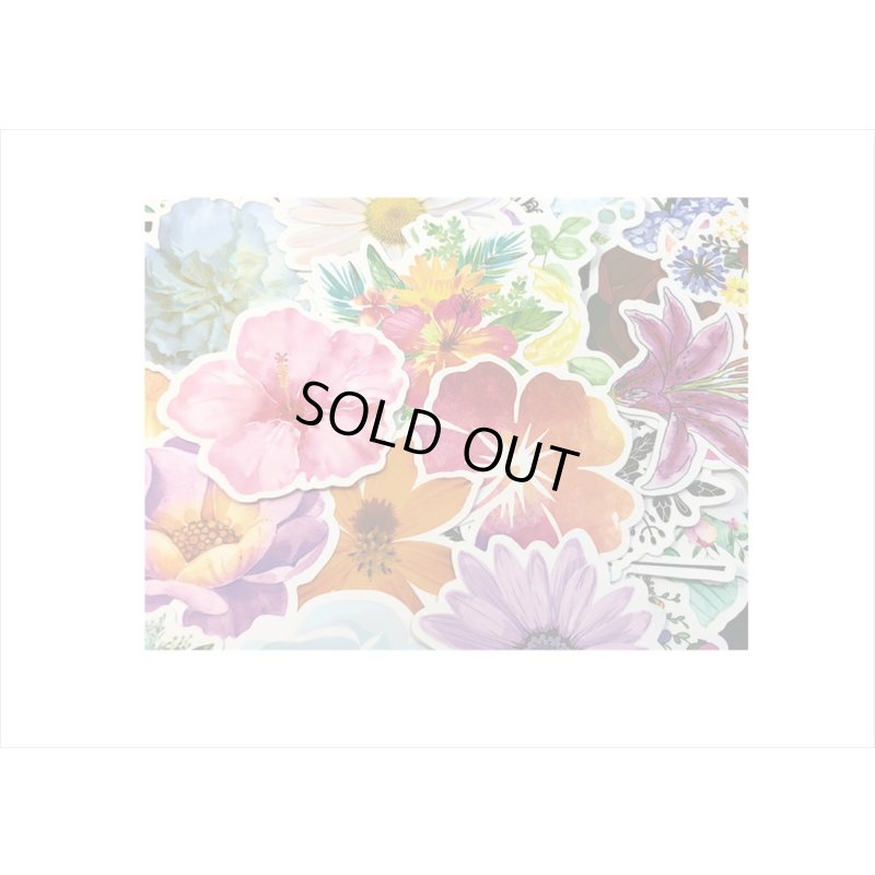 画像7: 100枚💓柄違い＊植物🌸🍃大きめダイカットステッカー＊海外製