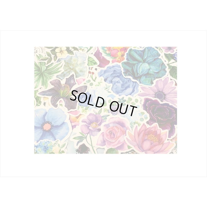 画像6: 100枚💓柄違い＊植物🌸🍃大きめダイカットステッカー＊海外製