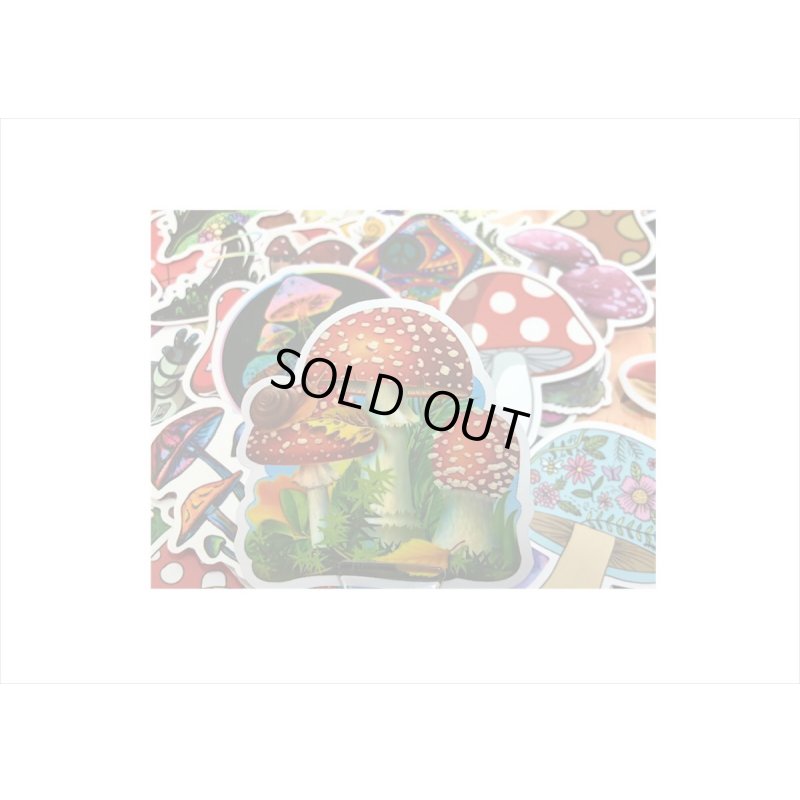 画像6: 100枚💓柄違い＊きのこ🍄大きめダイカットステッカー＊海外製