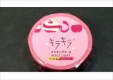 Apple　★キラキラマスキングテープ★　ワールドクラフト