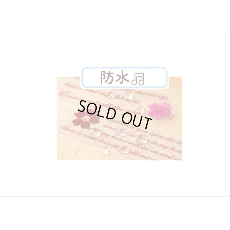 画像8: カセットテープみたい🎵ブラック＊防水＊PETシール＊花と英文＊30枚＊海外製