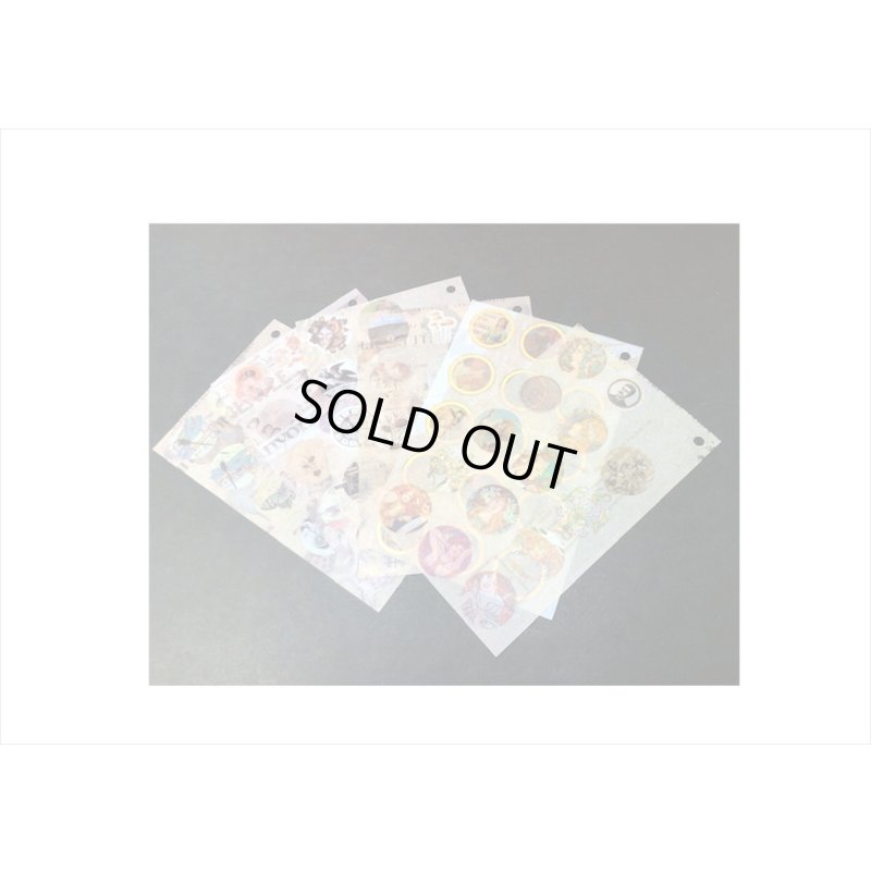 画像5: 超豪華❕❕ビス留め＊和紙シールブック＊504枚入り＊ミルクキャップ型＊海外製