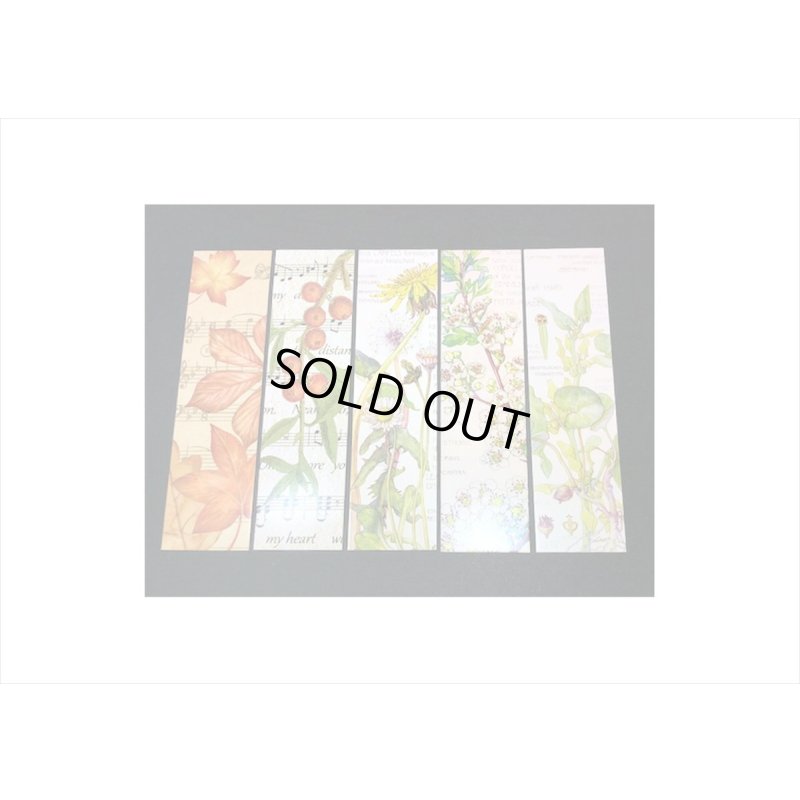 画像5: ブックマークにもなる♪フラワーミュージアム＊箱入り＊ペーパーセット＊30枚＊ 海外製