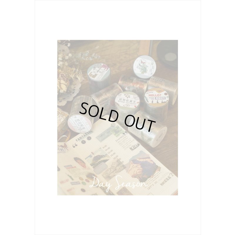 画像7: 透明PETテープ♪風の旅人＊はく離式＊海外マステ　クリックポスト不可