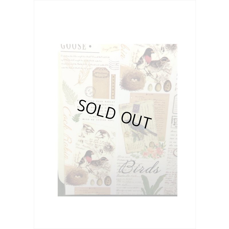 画像3: 透明PETテープ♪Bird＊はく離式＊海外マステ　クリックポスト不可