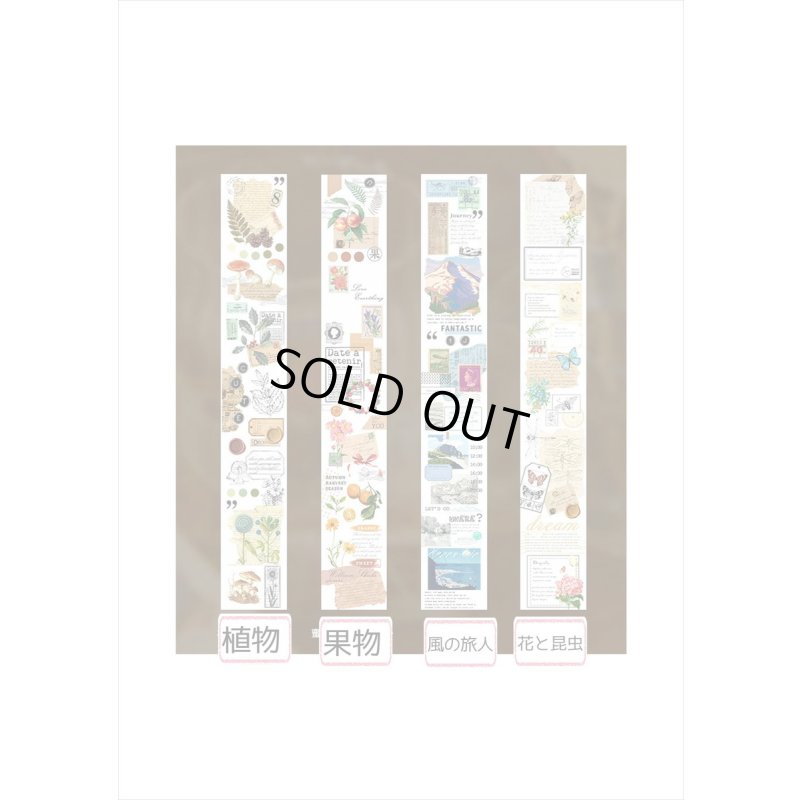 画像5: 透明PETテープ♪風の旅人＊はく離式＊海外マステ　クリックポスト不可