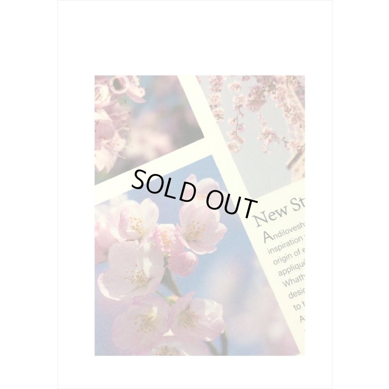 画像7: ペーパーセット＊小春＊メモ帳＊はがきサイズ＊50枚＊海外製