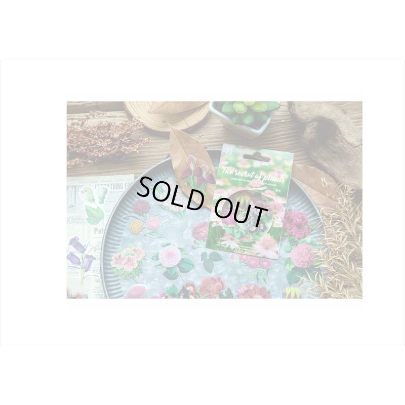 画像5: 防水＊植物いろいろ＊ホワイト・椿＊PETシール＊30枚＊海外製