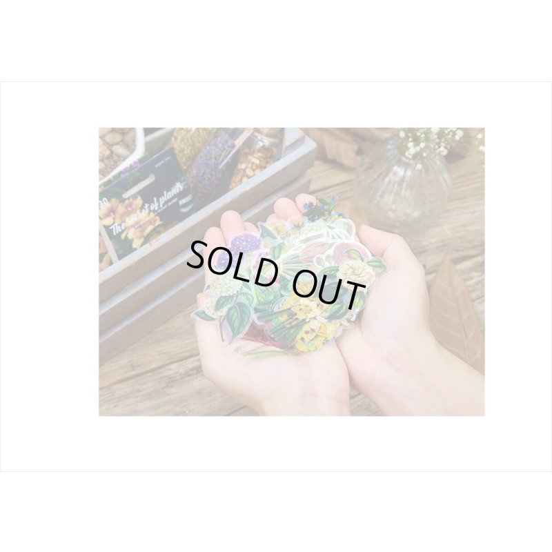 画像15: 防水＊植物いろいろ＊ホワイト・椿＊PETシール＊30枚＊海外製