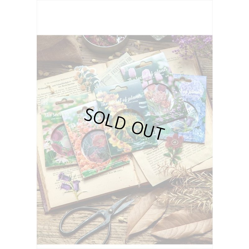 画像18: 防水＊植物いろいろ＊ホワイト・椿＊PETシール＊30枚＊海外製