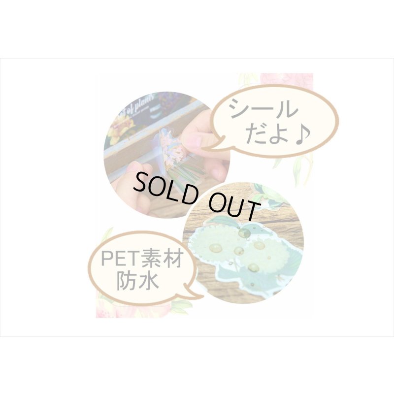 画像3: 防水＊植物いろいろ＊ホワイト・椿＊PETシール＊30枚＊海外製