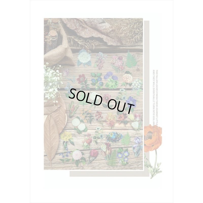 画像7: 防水＊植物いろいろ＊ホワイト・椿＊PETシール＊30枚＊海外製