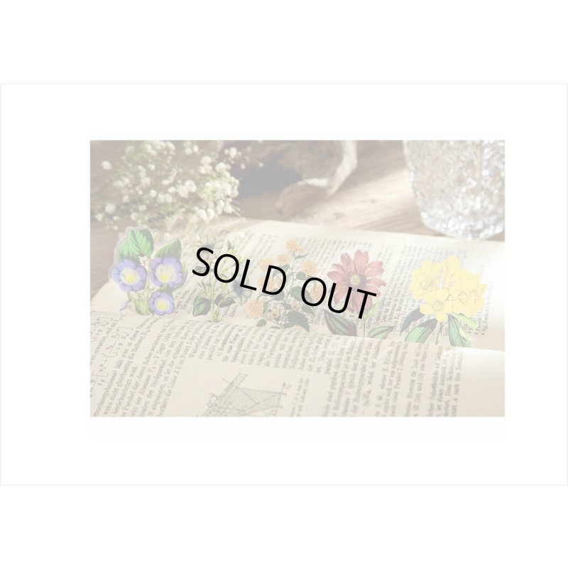 画像4: 防水＊植物いろいろ＊ホワイト・椿＊PETシール＊30枚＊海外製