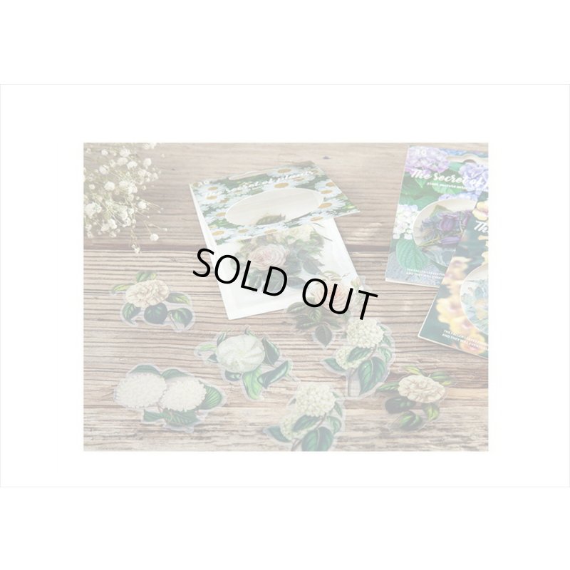 画像17: 防水＊植物いろいろ＊ホワイト・椿＊PETシール＊30枚＊海外製