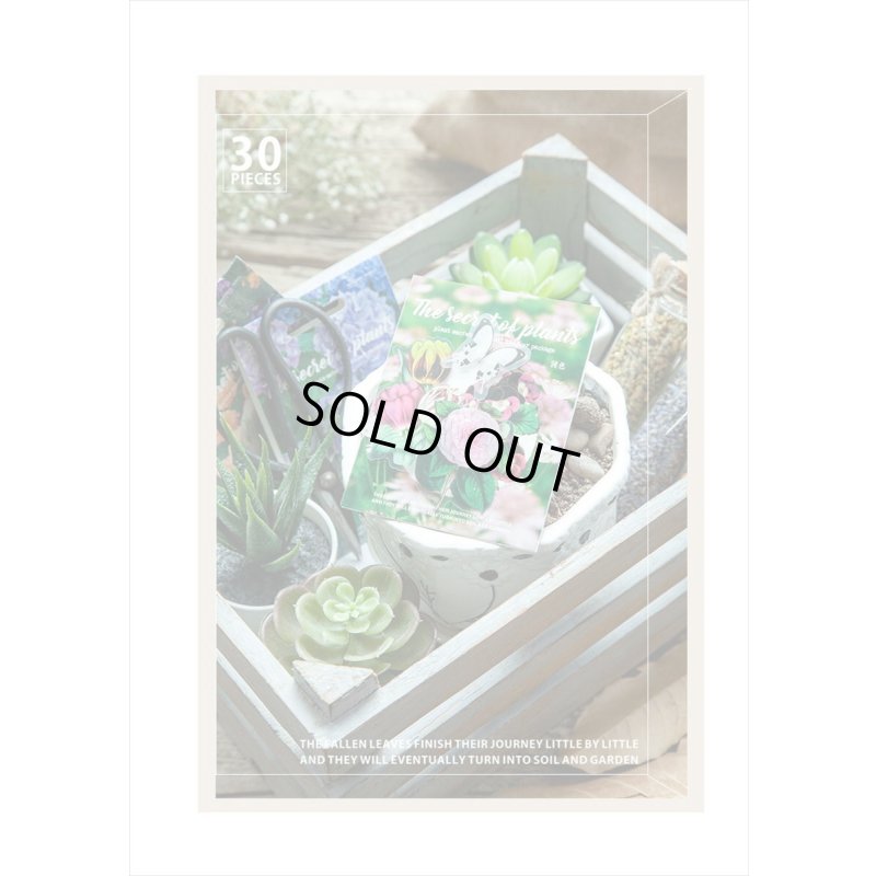 画像6: 防水＊植物いろいろ＊ホワイト・椿＊PETシール＊30枚＊海外製