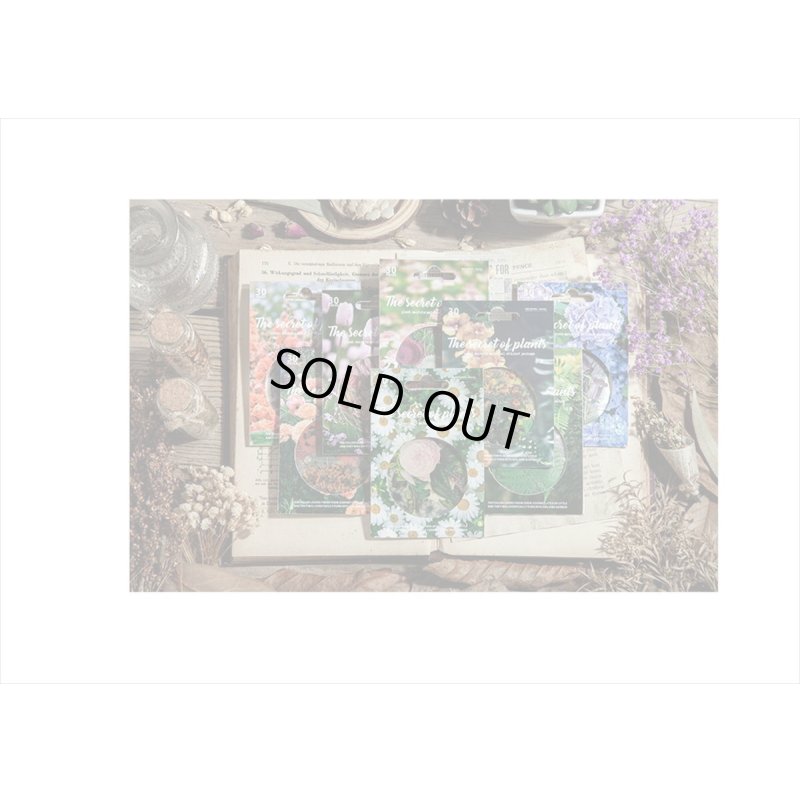 画像13: 防水＊植物いろいろ＊ホワイト・椿＊PETシール＊30枚＊海外製