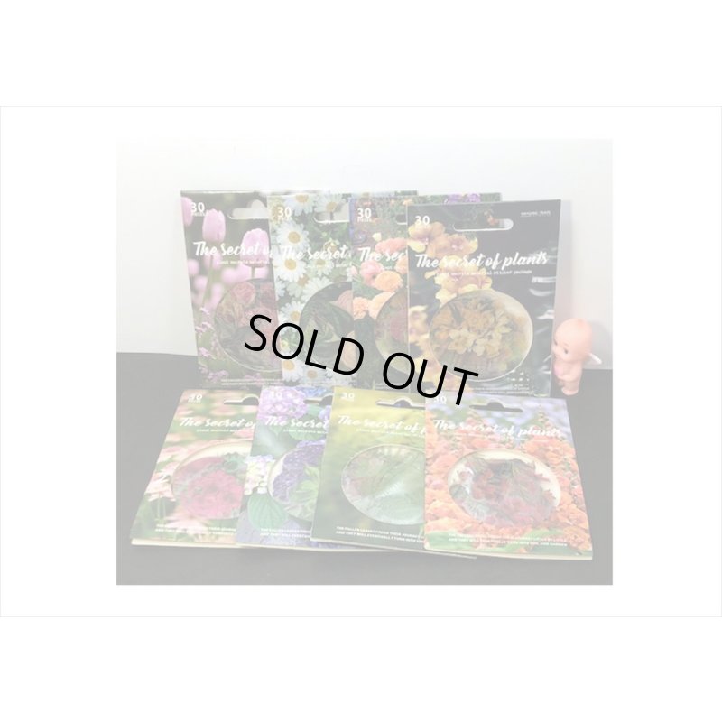 画像19: 防水＊植物いろいろ＊ホワイト・椿＊PETシール＊30枚＊海外製