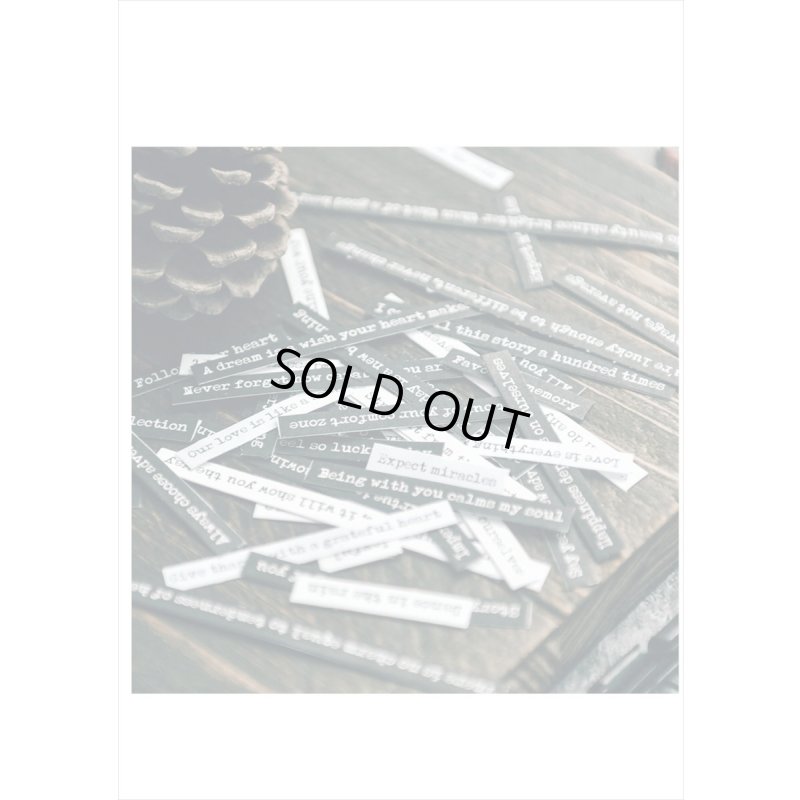 画像13: 英文だらけ♪黒と白＊8シート入り＊202＊海外製