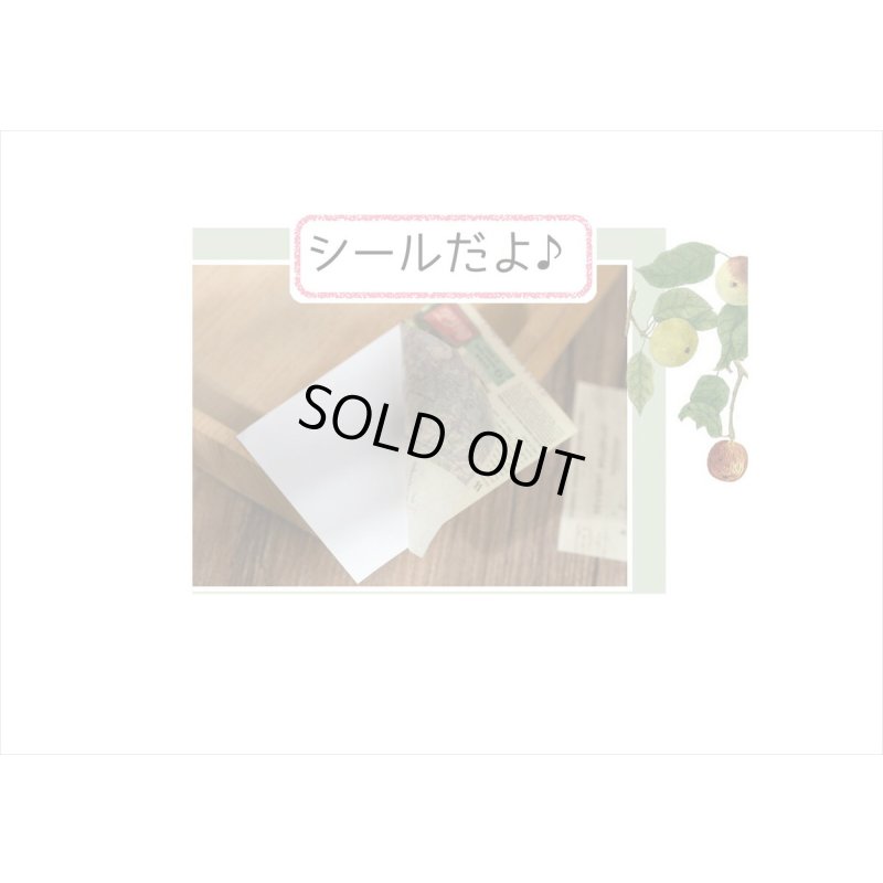 画像9: 和紙シール帳＊フラワーコレクション＊30枚＊海外製