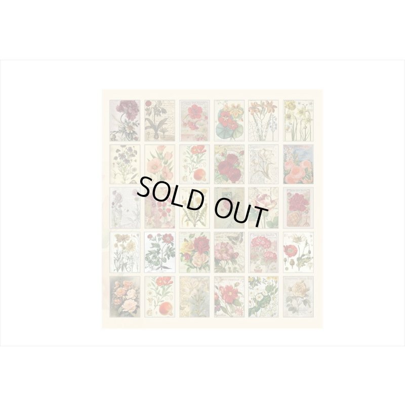 画像8: 和紙シール帳＊フラワーコレクション＊30枚＊海外製
