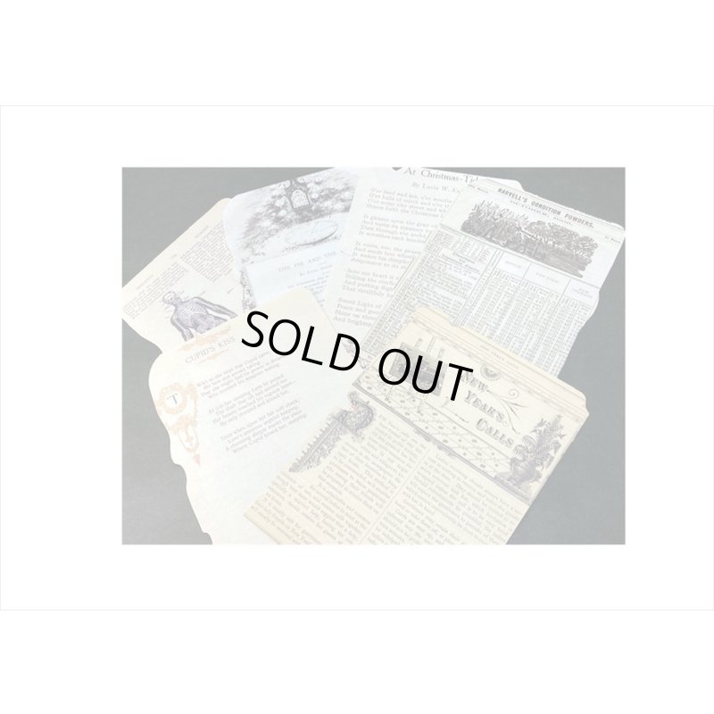 画像5: トレペ付＊古い本＊アンティーク風ペーパーセット＊26点＊海外製