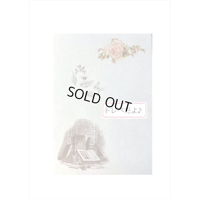 画像7: トレペ付＊古い本＊アンティーク風ペーパーセット＊26点＊海外製