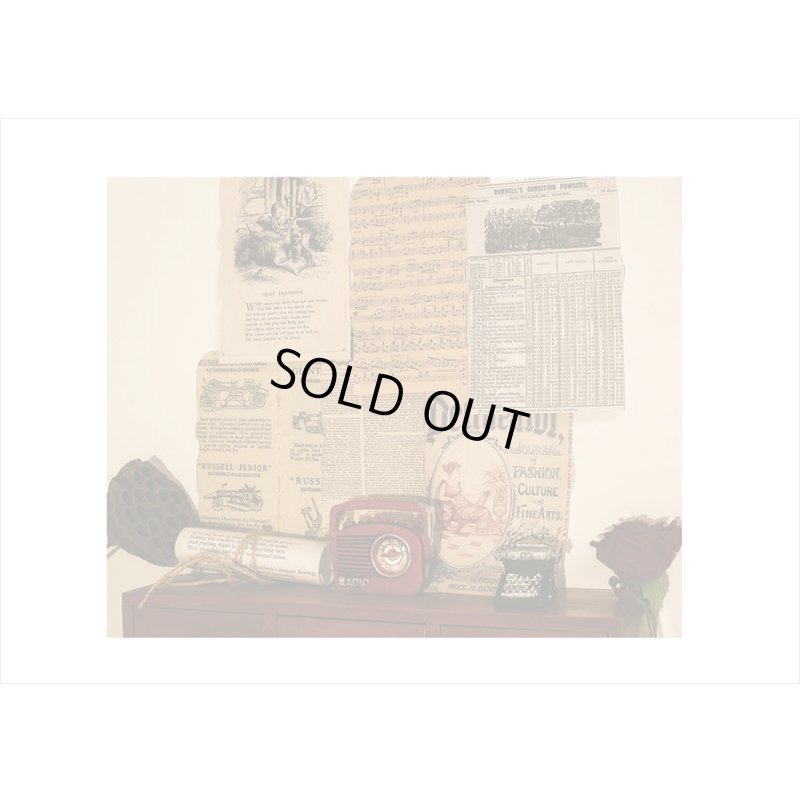 画像9: トレペ付＊古い本＊アンティーク風ペーパーセット＊26点＊海外製