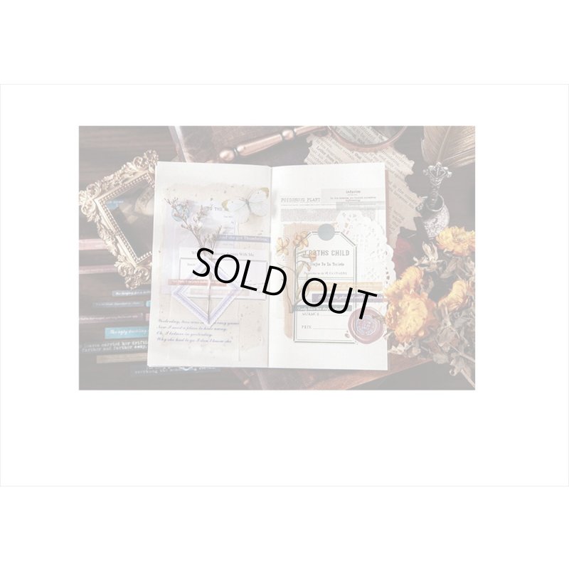 画像17: 英文＊おとぎ話＊みにくいアヒルの子＊和紙シール＊60枚＊海外製