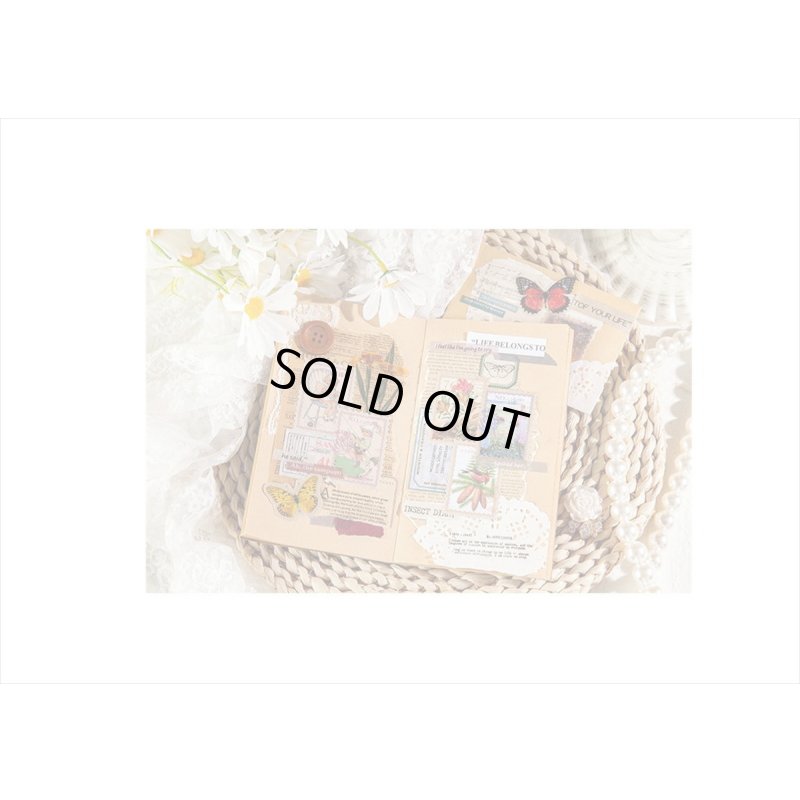 画像18: 小さなポスト＊切手型シール＊うさぎ🐰＊100枚＊箱入り＊海外製