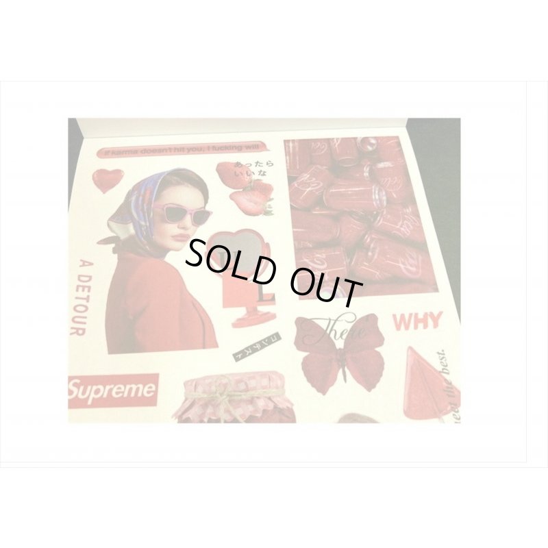 画像5: 大きなシール帳＊ピンク＊人物＊和紙シール＊20シート＊海外製