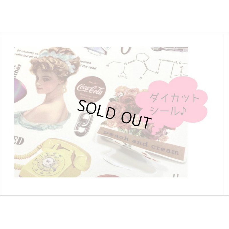 画像8: 大きなシール帳＊レッド＊人物＊和紙シール＊20シート＊海外製