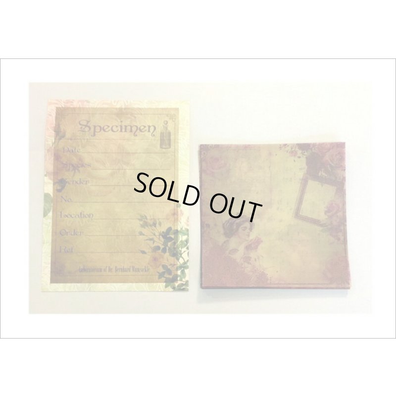 画像9: トレペシール＊バラと女性＊コラージュ＊柄違い10枚セット*海外製 