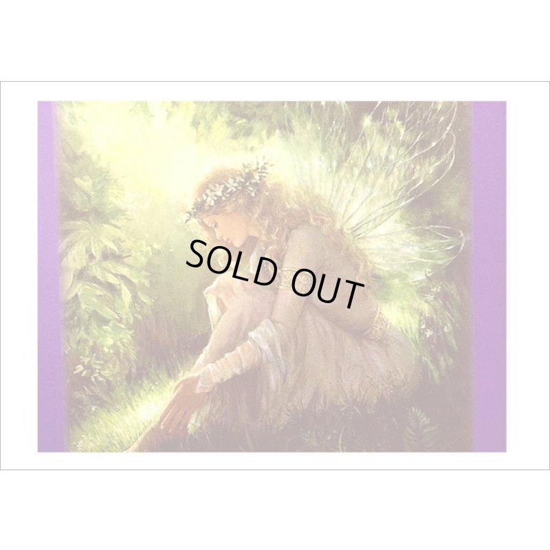 画像3: オラクルカード♠妖精＊マジカル＊タロット＊海外製