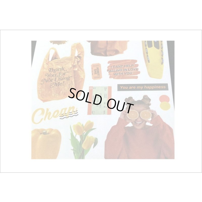 画像5: 大きなシール帳＊ブラウン＊人物＊和紙シール＊20シート＊海外製