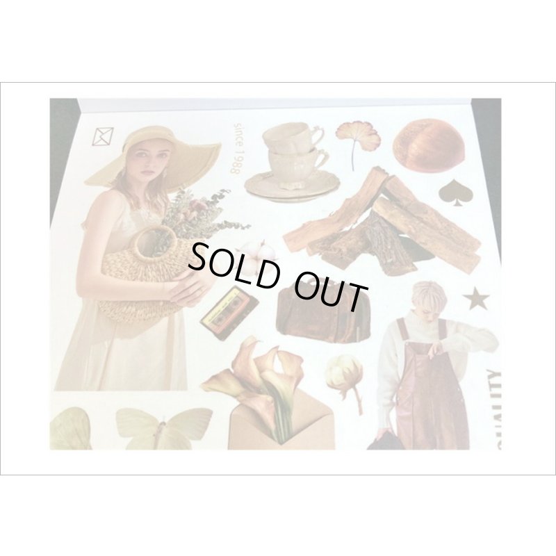 画像4: 大きなシール帳＊ブラウン＊人物＊和紙シール＊20シート＊海外製