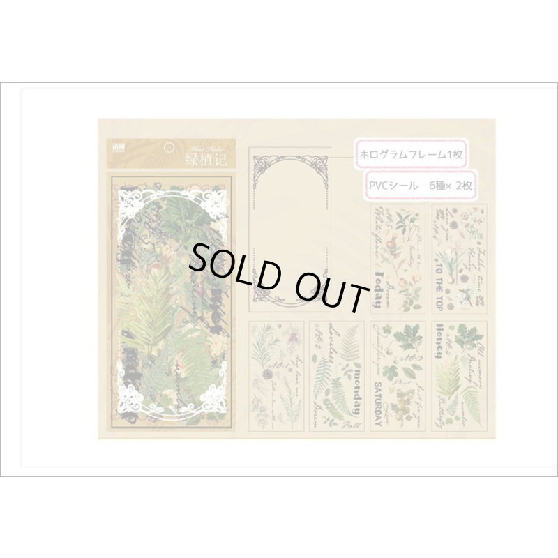 画像9: 松ぼっくり＊グリーン＊ホログラムフレーム入り＊PVCシール＊海外製