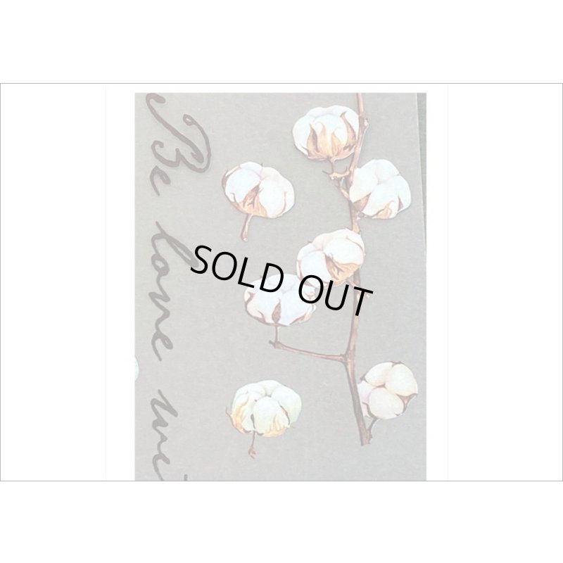 画像4: わたの花＊ホワイト＊ホログラムフレーム入り＊PVCシール＊海外製