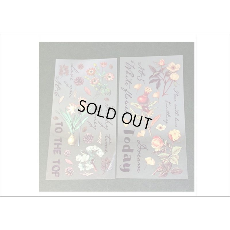 画像7: 松ぼっくり＊グリーン＊ホログラムフレーム入り＊PVCシール＊海外製