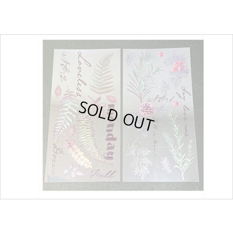 画像6: 松ぼっくり＊グリーン＊ホログラムフレーム入り＊PVCシール＊海外製