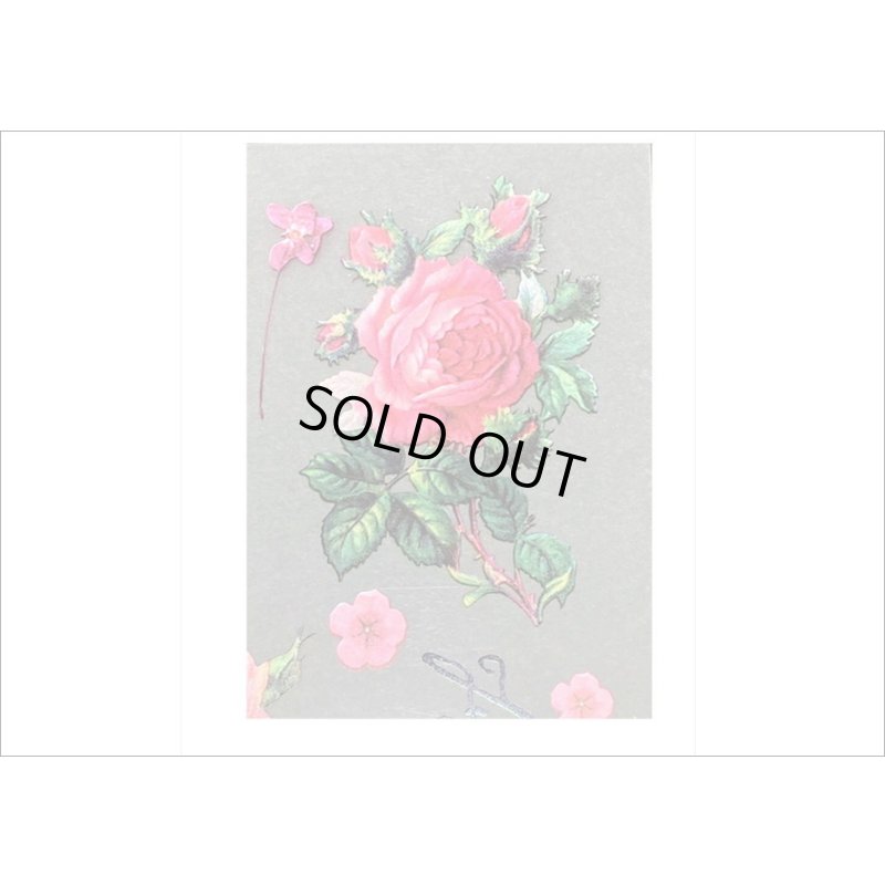 画像4: 薔薇＊ピンク＊ホログラムフレーム入り＊PVCシール＊海外製