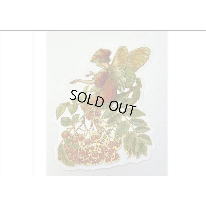 画像4: 金箔・防水＊花の妖精＊オレンジ＊PETシール＊海外製