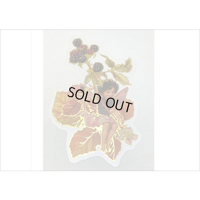 画像3: 金箔・防水＊花の妖精＊オレンジ＊PETシール＊海外製