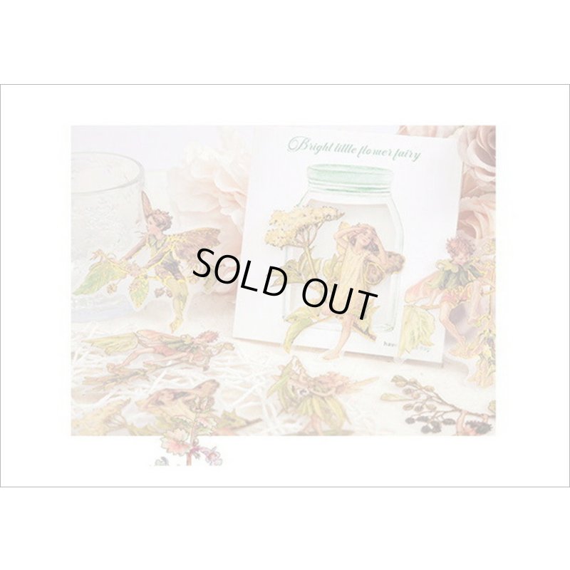 画像15: 金箔・防水＊花の妖精＊オレンジ＊PETシール＊海外製