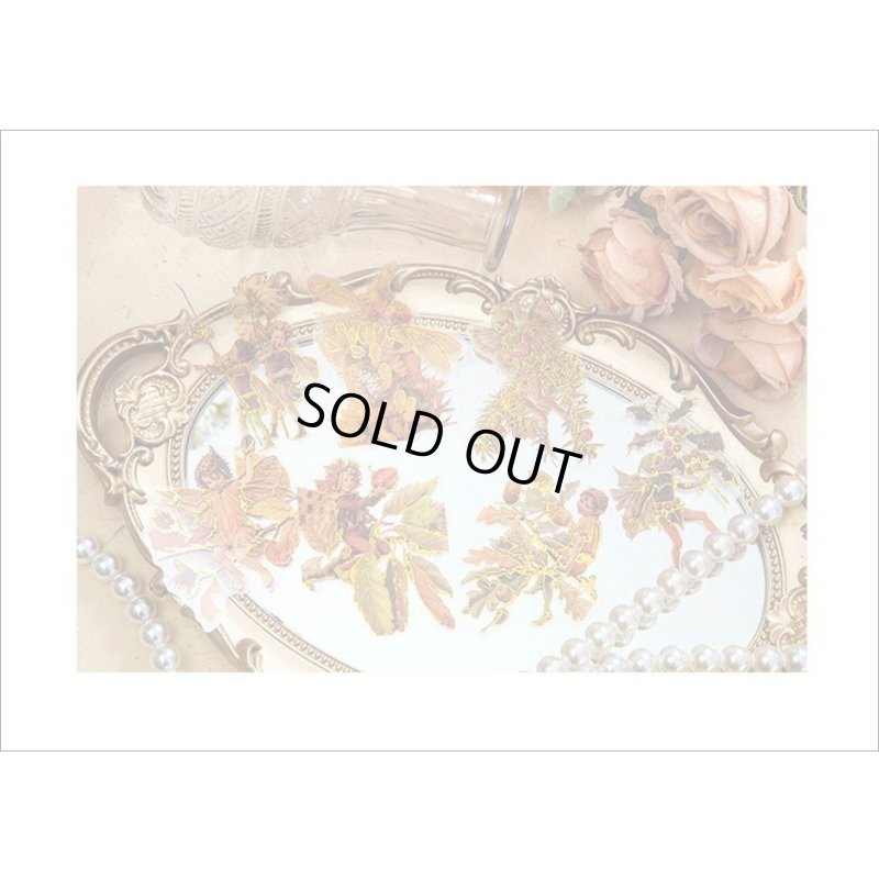 画像12: 金箔・防水＊花の妖精＊オレンジ＊PETシール＊海外製