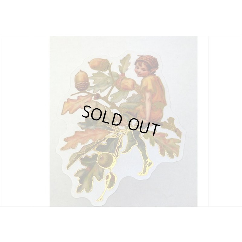 画像5: 金箔・防水＊花の妖精＊オレンジ＊PETシール＊海外製