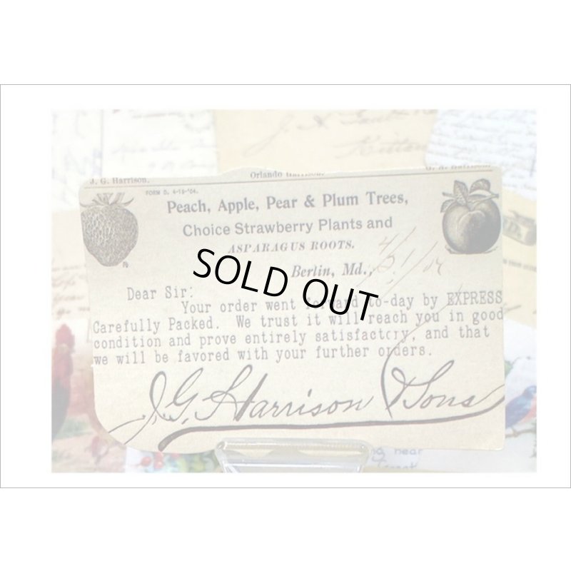 画像3: 長方形のいろいろシール＊祝福＊柄違い24枚＊光沢シール＊箱入り＊海外製